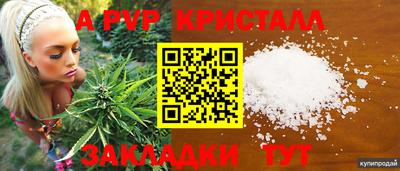 хмурый Можга