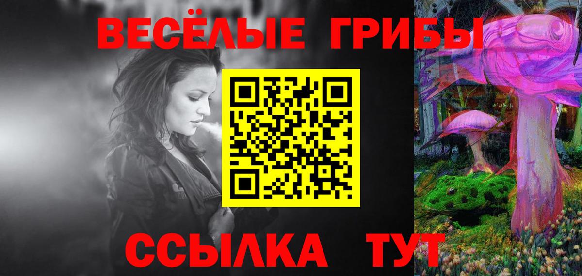 Псилоцибиновые грибы GOLDEN TEACHER  Вход с VPN  Галлюциногенные грибы Psilocybe  Бузулук 